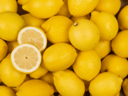 Moroccan lemons make a splash in the UK with record-breaking exports