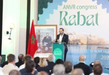 Dutch tourism leaders gather in Rabat to chart future ties with Morocco Dutch tourism leaders gather in Rabat to chart future ties with Morocco