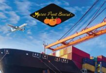 Maroc Fruit Board expands sea routes to Europe and Canada with IoT precision Maroc Fruit Board expands sea routes to Europe and Canada with IoT precision