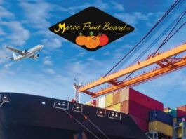 Maroc Fruit Board expands sea routes to Europe and Canada with IoT precision