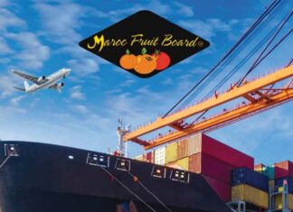 Maroc Fruit Board expands sea routes to Europe and Canada with IoT precision Maroc Fruit Board expands sea routes to Europe and Canada with IoT precision