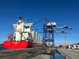 DP World unveils eco-friendly fresh produce route from Agadir