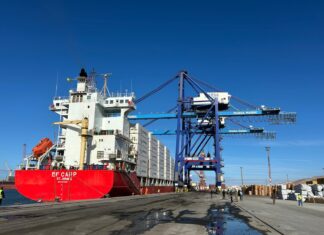 DP World unveils eco-friendly fresh produce route from Agadir DP World unveils eco-friendly fresh produce route from Agadir