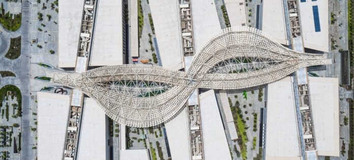 SSH SSH sets its sights on Morocco in strategic North Africa expansion