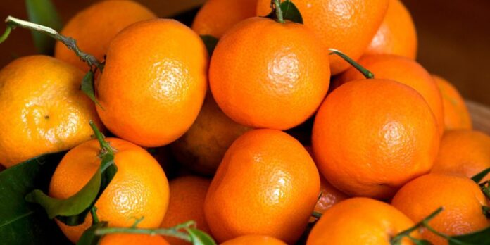 mandarines-clementines-oranges-maroc-1-1050x525 Morocco hits record citrus exports to Germany in 2024-2025 season