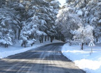 Snowfall brings relief and revival to Morocco’s Middle Atlas Snowfall brings relief and revival to Morocco’s Middle Atlas