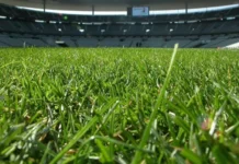 Storm-proof and game-ready: Moulay Abdellah Stadium pitch impresses Storm-proof and game-ready: Moulay Abdellah Stadium pitch impresses