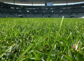 Storm-proof and game-ready: Moulay Abdellah Stadium pitch impresses Storm-proof and game-ready: Moulay Abdellah Stadium pitch impresses
