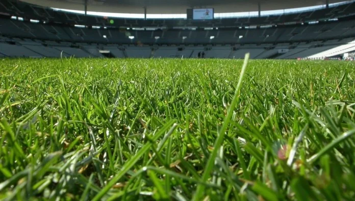 Storm-proof and game-ready: Moulay Abdellah Stadium pitch impresses