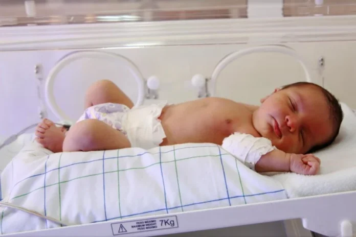 Naissances Melilla’s maternity crisis: births down 77% since border tightened