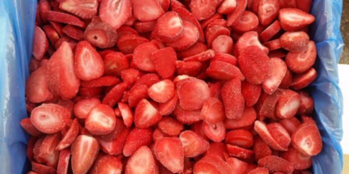 Morocco rises as key frozen strawberry supplier to the U.S.