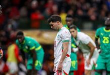 While Senegal claimed the trophy, Morocco claimed the respect While Senegal claimed the trophy, Morocco claimed the respect