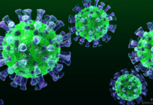 MERS-CoV alert: why Moroccan authorities are staying calm MERS-CoV alert: why Moroccan authorities are staying calm