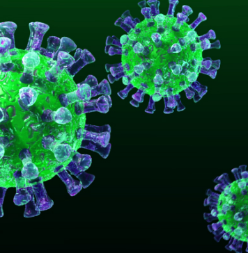 MERS-CoV alert: why Moroccan authorities are staying calm MERS-CoV alert: why Moroccan authorities are staying calm