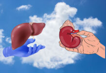 Morocco’s organ donation crisis: a silent emergency Morocco’s organ donation crisis: a silent emergency