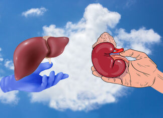 Morocco’s organ donation crisis: a silent emergency Morocco’s organ donation crisis: a silent emergency