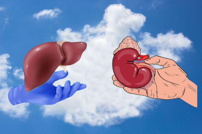 Morocco’s organ donation crisis: a silent emergency