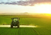 Recent rain brings massive relief to Morocco’s farmers Morocco’s water situation has changed fast after months of steady rain. Since mid-November 2025, rain across the country has filled dams to 70.7%