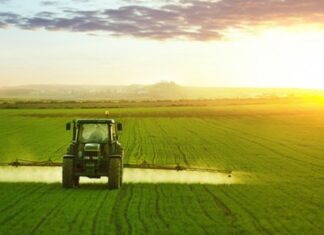Recent rain brings massive relief to Morocco’s farmers Morocco’s water situation has changed fast after months of steady rain. Since mid-November 2025, rain across the country has filled dams to 70.7%