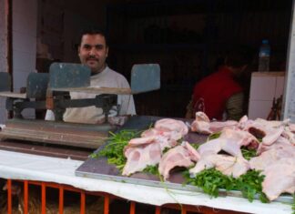 Chicken surplus hits Morocco’s poultry sector Chicken industry in Morocco faces a collapse due to overproduction and rising costs.