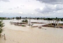 Morocco floods: Gharb farm agency steps in after rivers burst their banks Morocco floods: Gharb farm agency steps in
