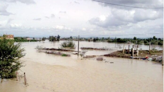 Morocco floods: Gharb farm agency steps in