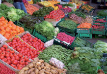 Morocco prices fall year on year despite monthly rise Morocco’s consumer prices fell by 0.8% in January compared with a year earlier, according to Haut-Commissariat au Plan.
