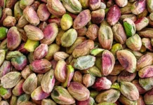 Morocco imports record 4,050 tonnes of pistachios in 2025 Morocco imported a record 4,050 tonnes of pistachios in 2025, worth $33.9 million a 27.5% increase from 2024
