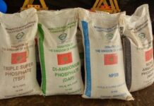 Panama to get fertilisers from Morocco to help farmers Panama is working with Morocco to get more agricultural fertilisers as prices rise worldwide and shortages loom.