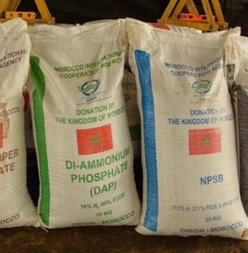Panama to get fertilisers from Morocco to help farmers Panama is working with Morocco to get more agricultural fertilisers as prices rise worldwide and shortages loom.
