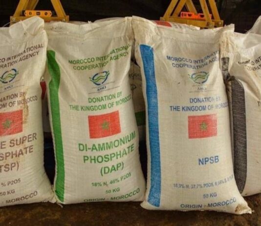 Panama to get fertilisers from Morocco to help farmers Panama is working with Morocco to get more agricultural fertilisers as prices rise worldwide and shortages loom.