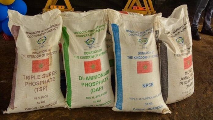 Panama is working with Morocco to get more agricultural fertilisers as prices rise worldwide and shortages loom.
