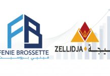 Zellidja sets sights on African mining expansion after strong results Zellidja said its profits rose sharply in 2025, mainly because of a compensation payment after the government took one of its properties.