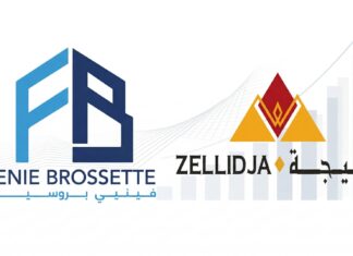 Zellidja sets sights on African mining expansion after strong results Zellidja said its profits rose sharply in 2025, mainly because of a compensation payment after the government took one of its properties.