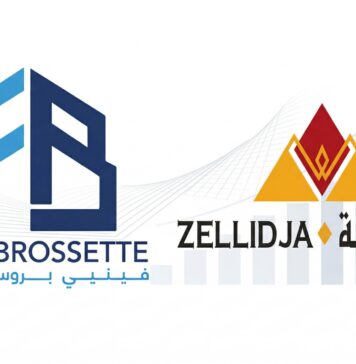 Zellidja sets sights on African mining expansion after strong results Zellidja said its profits rose sharply in 2025, mainly because of a compensation payment after the government took one of its properties.