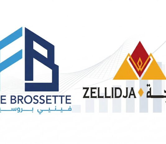 Zellidja sets sights on African mining expansion after strong results Zellidja said its profits rose sharply in 2025, mainly because of a compensation payment after the government took one of its properties.