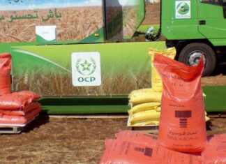 US farmers want fertiliser tariffs on Morocco lifted US farm groups are asking the government to remove taxes on phosphate fertiliser imported from Morocco because of higher costs.