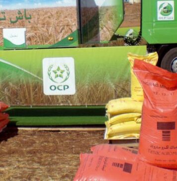 US farmers want fertiliser tariffs on Morocco lifted US farm groups are asking the government to remove taxes on phosphate fertiliser imported from Morocco because of higher costs.