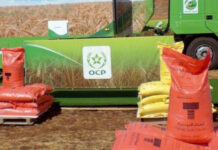 Morocco’s OCP gains as Gulf tensions disrupt fertiliser trade Morocco’s fertiliser giant OCP Group is becoming a key supplier for global agriculture as tensions between Iran and Israel grow