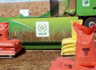 Morocco’s OCP gains as Gulf tensions disrupt fertiliser trade Morocco’s fertiliser giant OCP Group is becoming a key supplier for global agriculture as tensions between Iran and Israel grow