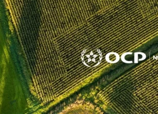 OCP to set up €26m France unit and India arm as war pressures fertiliser supplies The Moroccan government has approved plans to expand OCP Nutricrops into France and India, according to official decrees published earlier this month.