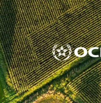 OCP to set up €26m France unit and India arm as war pressures fertiliser supplies The Moroccan government has approved plans to expand OCP Nutricrops into France and India, according to official decrees published earlier this month.
