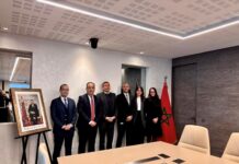 BANK OF AFRICA funds six solar plants to slash 400,000 tonnes of CO₂ BANK OF AFRICA is helping fund the Noor Atlas solar project, which will build six solar power plants across Morocco with a total capacity of 240 MW.