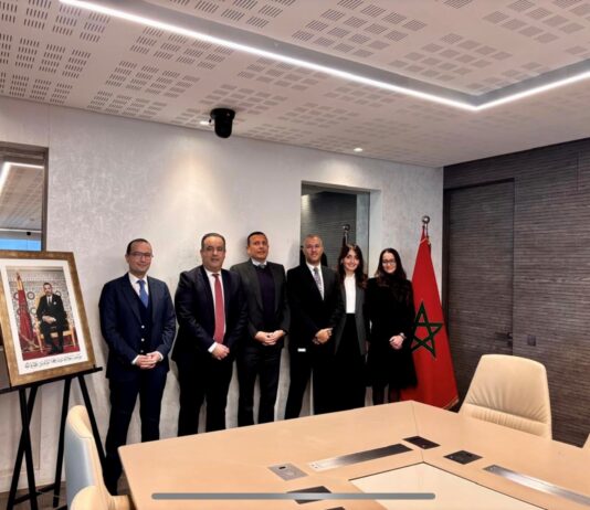 BANK OF AFRICA funds six solar plants to slash 400,000 tonnes of CO₂ BANK OF AFRICA is helping fund the Noor Atlas solar project, which will build six solar power plants across Morocco with a total capacity of 240 MW.