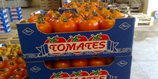 Morocco ranked as the European Union’s second-largest tomato exporter in 2025, overtaking Spain and placing behind the Netherlands, according to data published by the agricultural information site Horto Info. Morocco ranked as the European Union’s second-largest tomato exporter in 2025, overtaking Spain and placing behind the Netherlands, according to data published by the agricultural information site Horto Info.