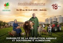 Morocco’s mega agriculture show returns – bigger and longer than ever The 18th International Agriculture Show (SIAM) will take place in Meknès this April, running for nine days instead of the usual seven.