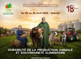 Morocco’s mega agriculture show returns – bigger and longer than ever The 18th International Agriculture Show (SIAM) will take place in Meknès this April, running for nine days instead of the usual seven.