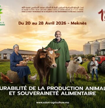 Morocco’s mega agriculture show returns – bigger and longer than ever The 18th International Agriculture Show (SIAM) will take place in Meknès this April, running for nine days instead of the usual seven.