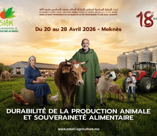 Morocco’s mega agriculture show returns – bigger and longer than ever The 18th International Agriculture Show (SIAM) will take place in Meknès this April, running for nine days instead of the usual seven.