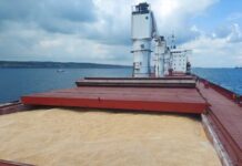 Morocco becomes Europe’s top wheat customer in race to keep bread prices down Morocco is now the biggest buyer of soft wheat from the European Union, after imports rose sharply this season.